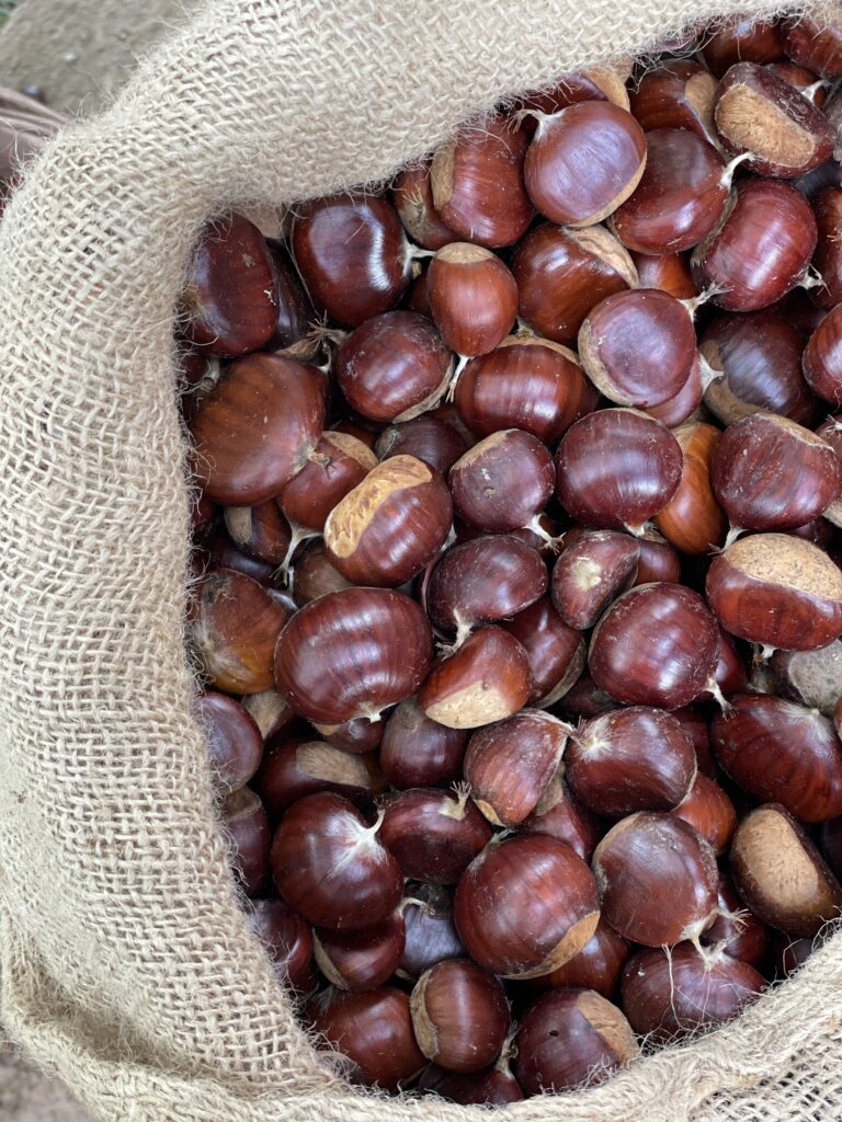 Castagne in sacco di juta