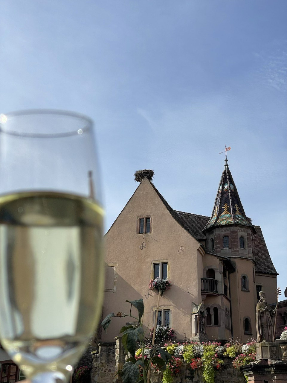 Turismo enogastronomico a quattro ruote.