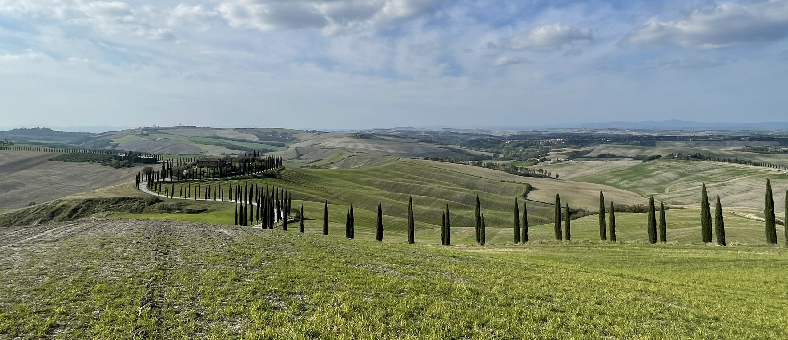 Colline toscane con cipressi