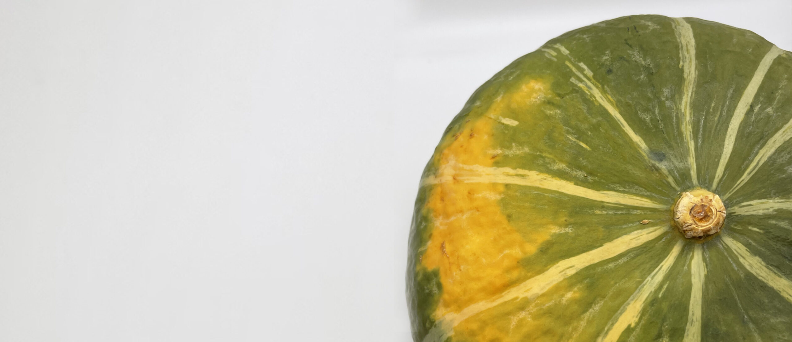 Zucca in primo piano